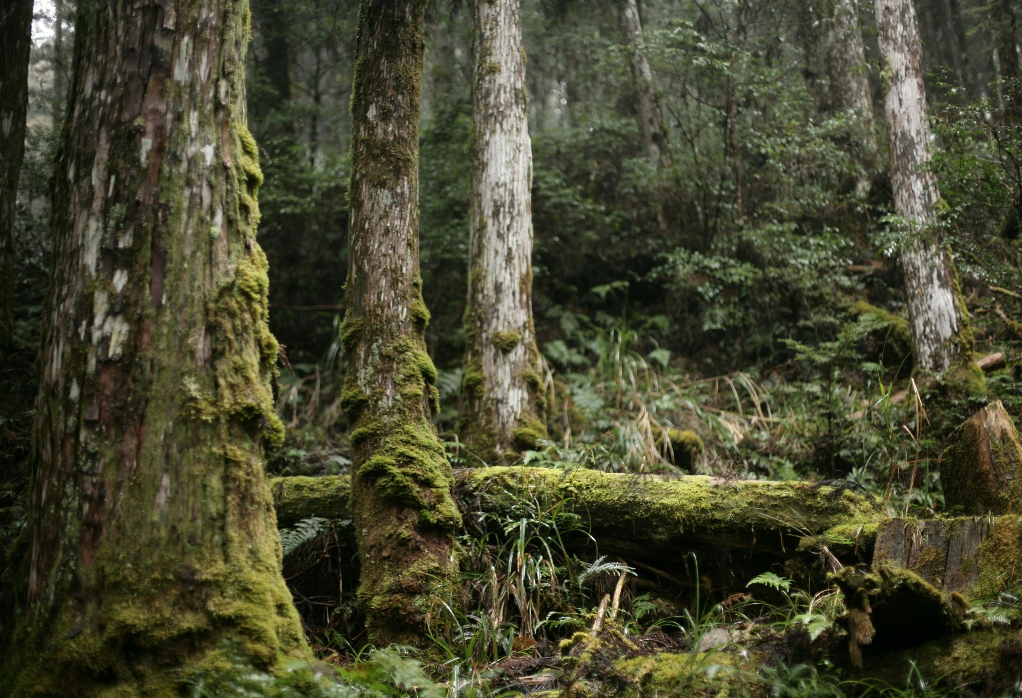Untitled_2048_x_2048_px_2048_x_1100_px_2048_x_1000_px_2048_x_2048_px_2048_x_1600_px_2048_x_1500_px_2048_x_1300_px_2048_x_1400_px_10.jpg