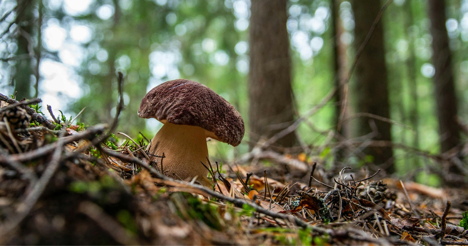 Untitled_2048_x_2048_px_2048_x_1100_px_2048_x_1000_px_2048_x_2048_px_2048_x_1600_px_2048_x_1500_px_2048_x_1300_px_2048_x_1400_px_1080_x_1926_px_1200_x_1926_px_1200_x_1600_px_11.jpg